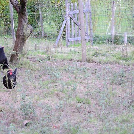 Ecogite Rural La Cle Des Champs Peyrelongue-Abos Dış mekan fotoğraf