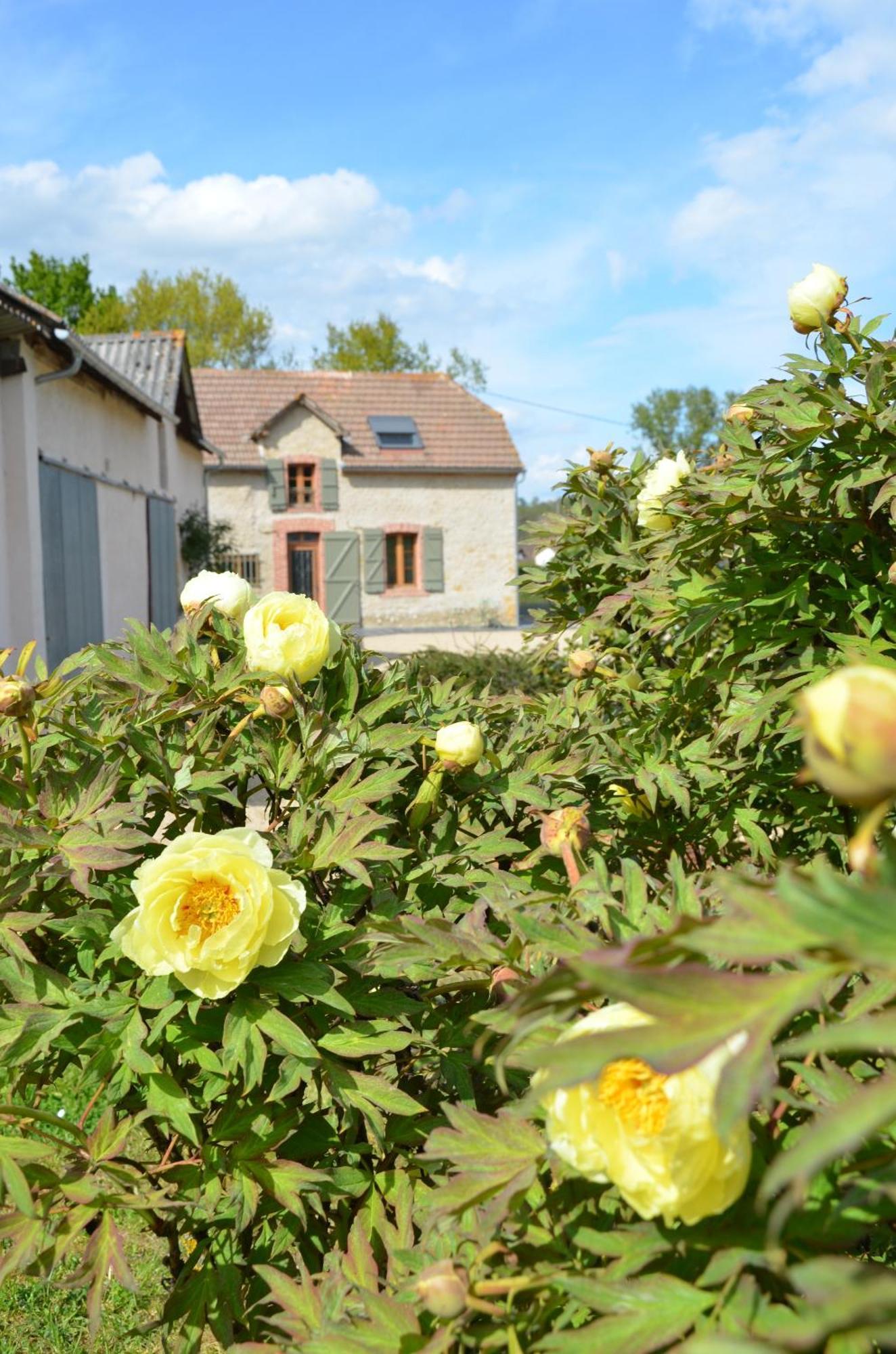 Ecogite Rural La Cle Des Champs Peyrelongue-Abos Dış mekan fotoğraf