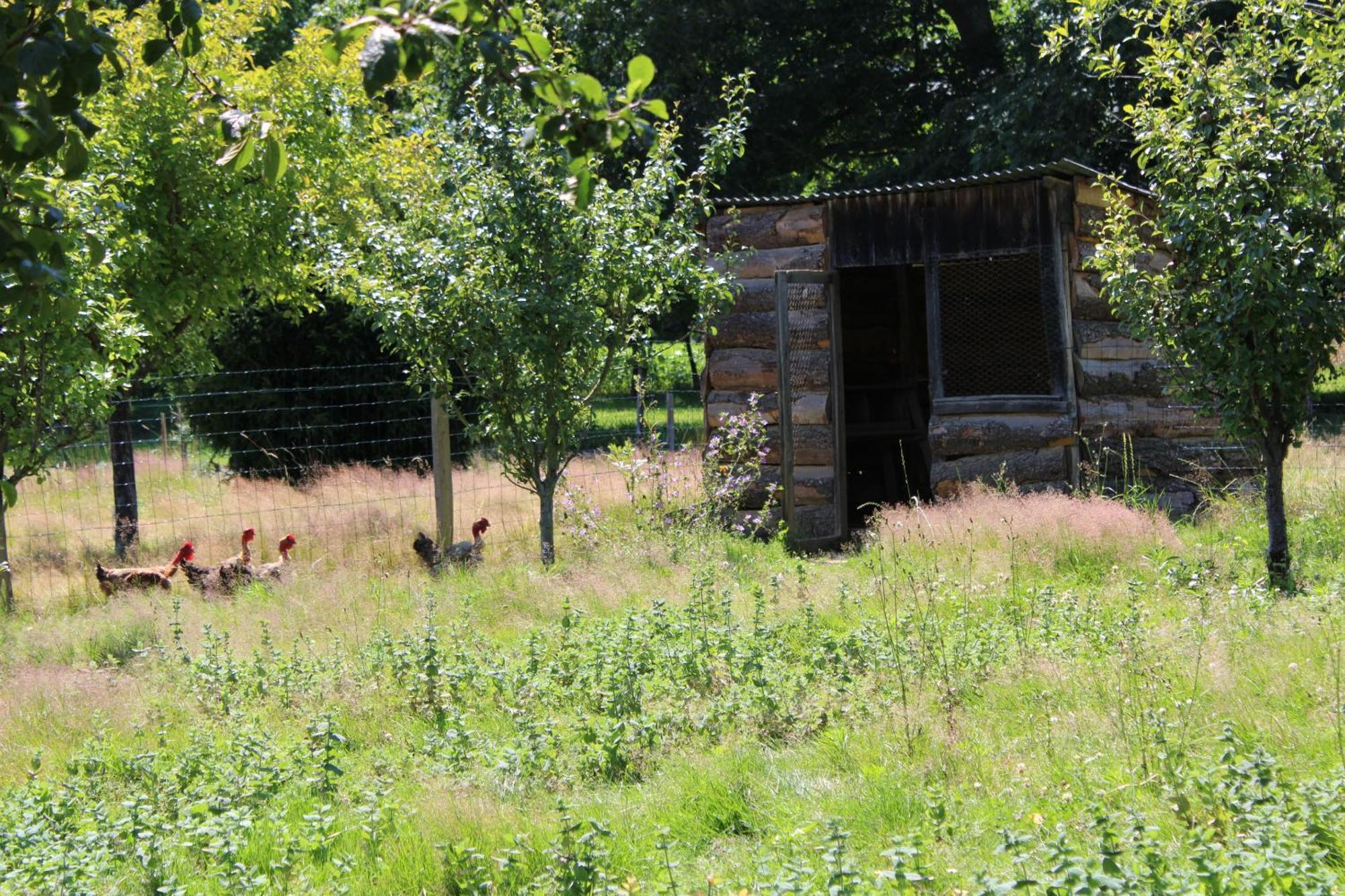 Ecogite Rural La Cle Des Champs Peyrelongue-Abos Oda fotoğraf